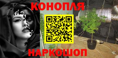индика Донской