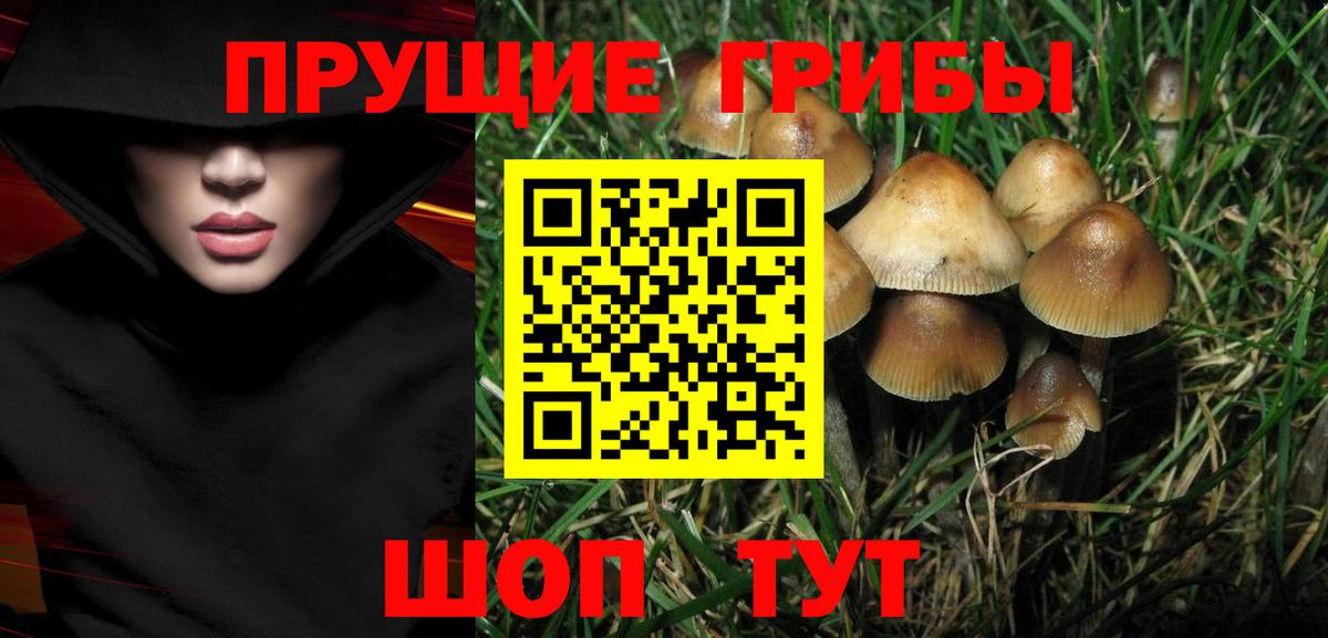 Галлюциногенные грибы Psilocybine cubensis Краснокамск